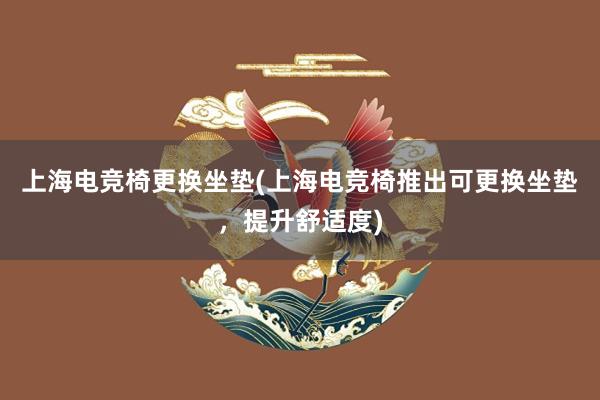 上海电竞椅更换坐垫(上海电竞椅推出可更换坐垫，提升舒适度)