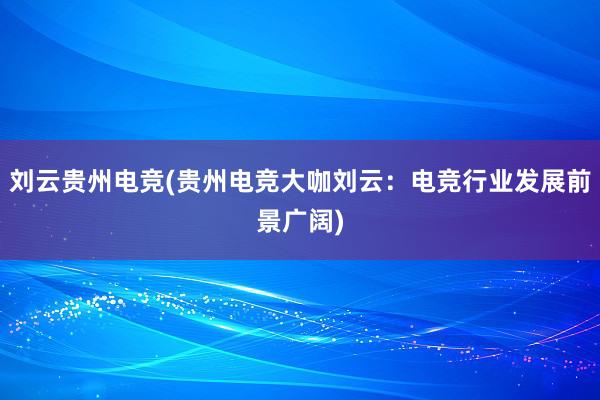 刘云贵州电竞(贵州电竞大咖刘云：电竞行业发展前景广阔)