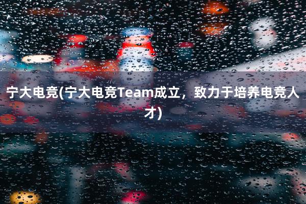 宁大电竞(宁大电竞Team成立，致力于培养电竞人才)