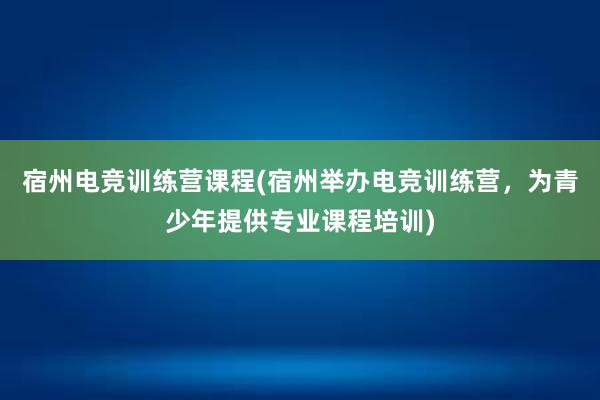 宿州电竞训练营课程(宿州举办电竞训练营，为青少年提供专业课程培训)