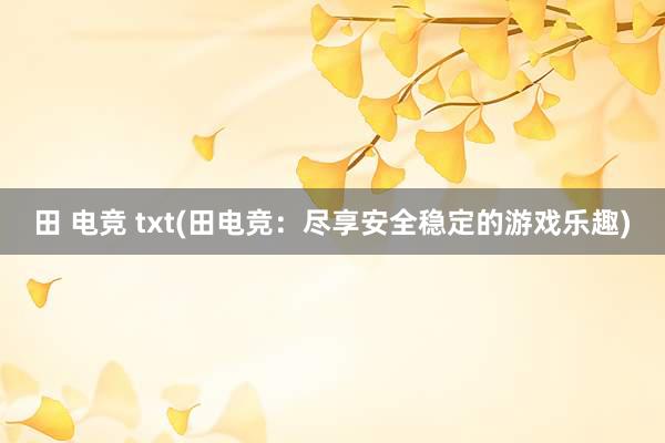 田 电竞 txt(田电竞：尽享安全稳定的游戏乐趣)