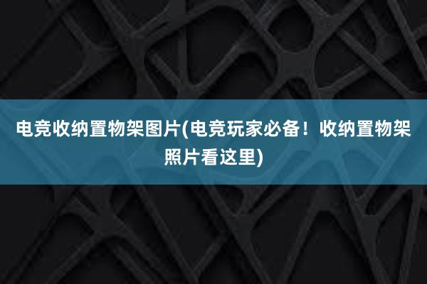 电竞收纳置物架图片(电竞玩家必备！收纳置物架照片看这里)