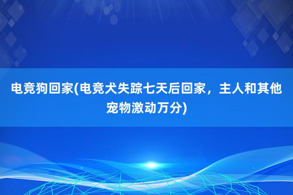 电竞狗回家(电竞犬失踪七天后回家，主人和其他宠物激动万分)