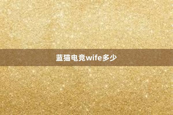 蓝猫电竞wife多少