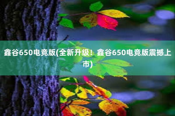 鑫谷650电竞版(全新升级！鑫谷650电竞版震撼上市)