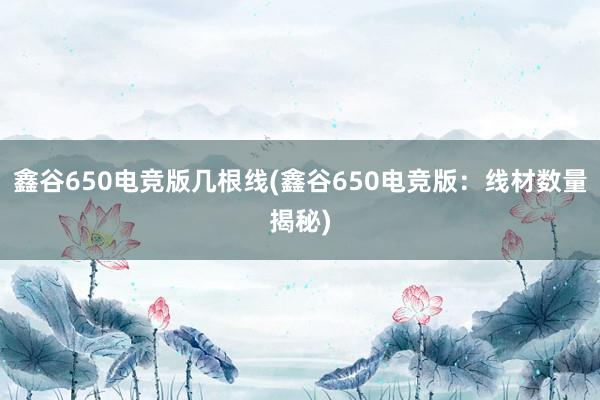 鑫谷650电竞版几根线(鑫谷650电竞版：线材数量揭秘)