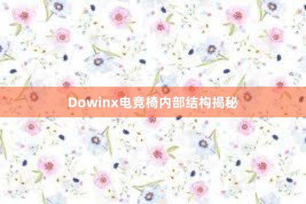 Dowinx电竞椅内部结构揭秘