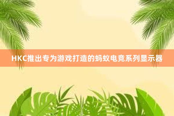 HKC推出专为游戏打造的蚂蚁电竞系列显示器