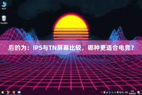 后的为：IPS与TN屏幕比较，哪种更适合电竞？