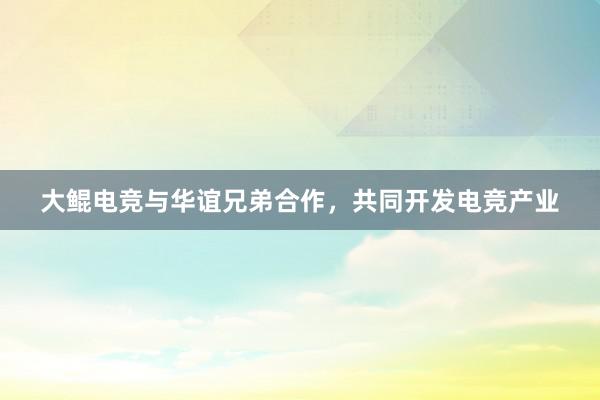 大鲲电竞与华谊兄弟合作，共同开发电竞产业