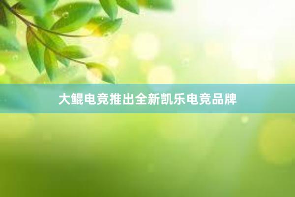 大鲲电竞推出全新凯乐电竞品牌