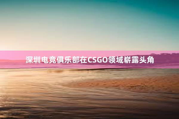 深圳电竞俱乐部在CSGO领域崭露头角